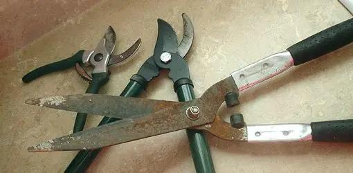 Set of garden shears on a beige surface